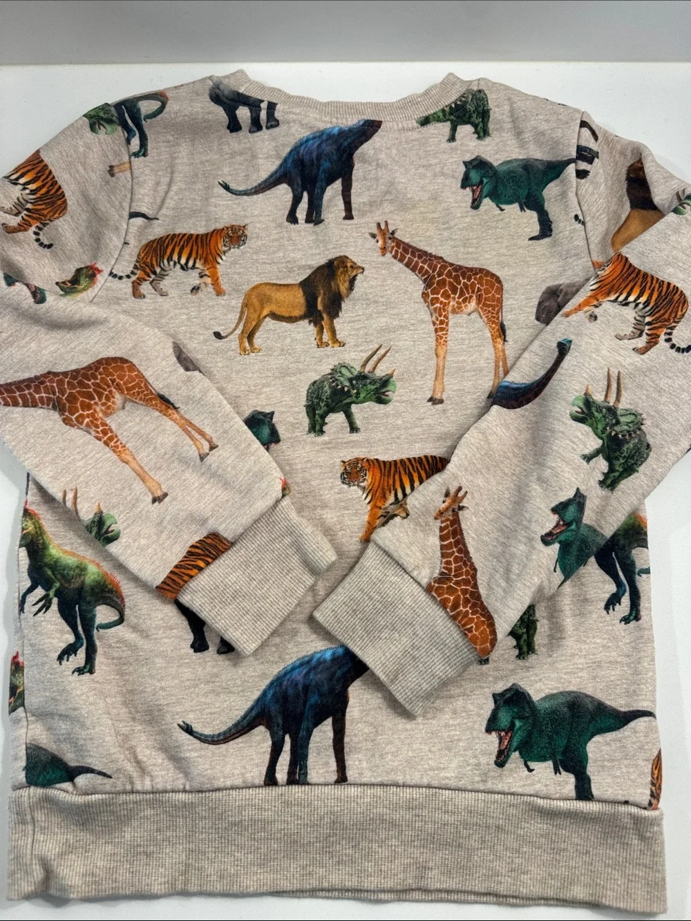 H&M Safari Animals Sweatshirt
